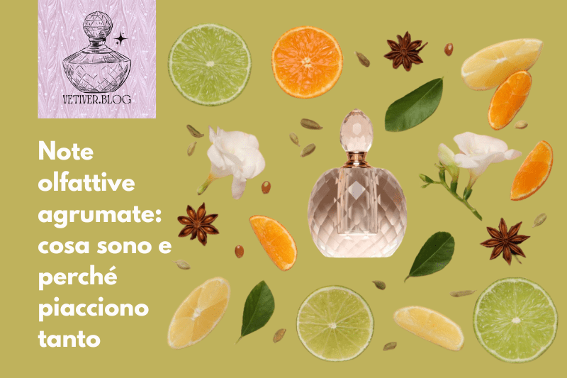 Note agrumate (o esperidate): cosa sono e perché piacciono così tanto nei&nbsp;profumi