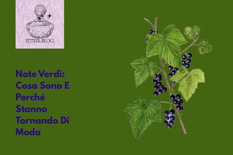 Note Verdi: Cosa Sono E Perché Stanno Tornando Di&nbsp;Moda