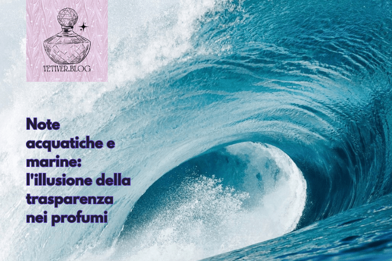 Note acquatiche e marine: l’illusione della trasparenza nei&nbsp;profumi