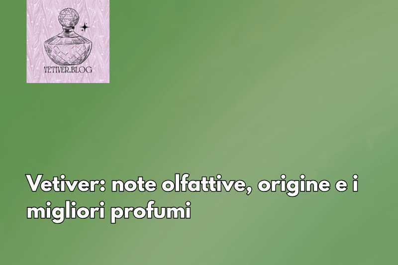 Vetiver: note olfattive, origine e i migliori&nbsp;profumi